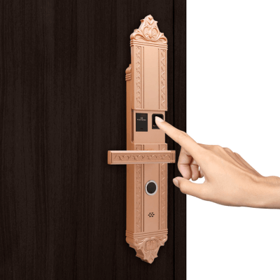 Фото: Врезной биометрический электронный замок Oking Premium F-08 Врезной биометрический электронный замок Oking Premium F-08