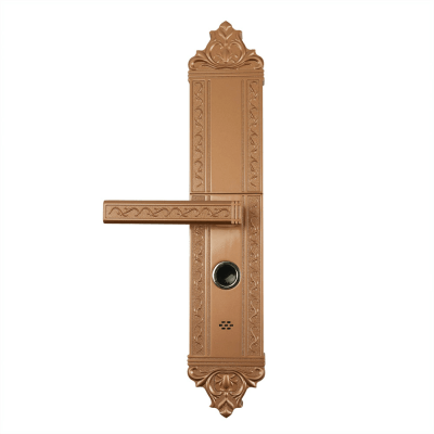 Фото: Врезной биометрический электронный замок Oking Premium F-08 - 2 Врезной биометрический электронный замок Oking Premium F-08 - 2