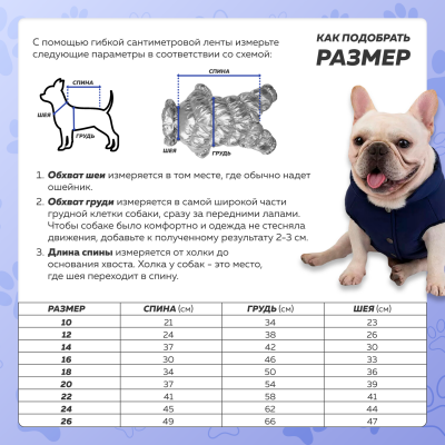 Зимний комбинезон для собак Chak синий 14 L-4